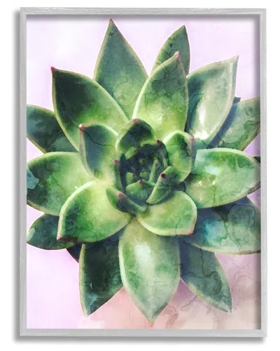 Stupell Round Succulent Plant Leaves Framed Giclee Wall Art By Daphne Polselli