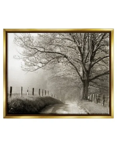 Stupell Rural Scenery Fenced Path Framed Floater Canvas Wall Art By Danita Delimont