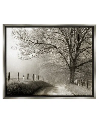 STUPELL RURAL SCENERY FENCED PATH FRAMED FLOATER CANVAS WALL ART BY DANITA DELIMONT