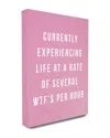 Stupell Several Wtfs Per Hour Humor Typography Canvas Wall Art By Lulusimonstudio