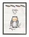 Stupell Smarter Than You Know Owl By Jo Moulton Framed Art
