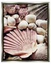 Stupell Stacked Coastal Seashells Framed Floater Canvas Wall Art By Ashley Aldridge