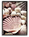 Stupell Stacked Coastal Seashells Framed Floater Canvas Wall Art By Ashley Aldridge