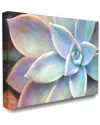 Stupell Succulent Plant Vibrant Bloom Painting