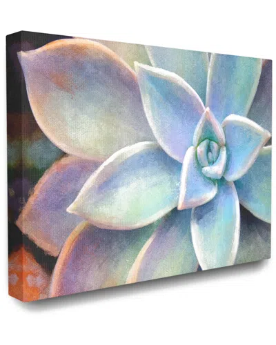 Stupell Succulent Plant Vibrant Bloom Painting