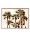 Stupell Summer Palm Trees Sky Framed Giclee Wall Art By Natalie Carpentieri