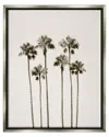 Stupell Tall Palm Trees Looming Framed Floater Canvas Wall Art By Natalie Carpentieri