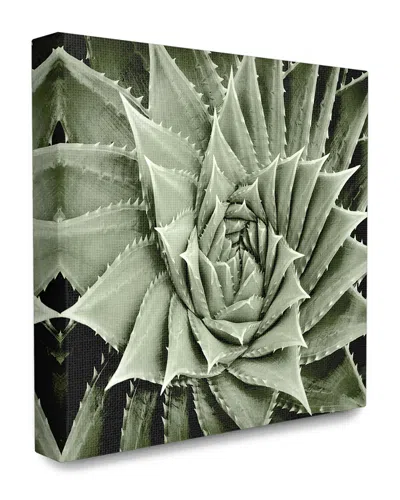 Stupell Home Decor Collection Green Spiked Swirling Succulent Bloom Botanical Photography Pattern