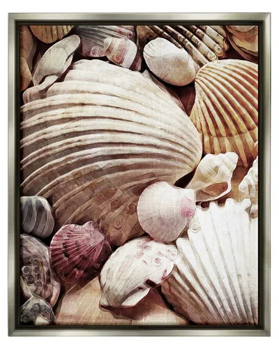 Stupell Various Nautical Clam Conch Shells Framed Floater Canvas Wall Art By Ashley Aldridge