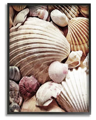 STUPELL VARIOUS NAUTICAL CLAM CONCH SHELLS FRAMED GICLEE WALL ART BY ASHLEY ALDRIDGE
