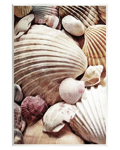 STUPELL VARIOUS NAUTICAL CLAM CONCH SHELLS WALL PLAQUE WALL ART BY ASHLEY ALDRIDGE