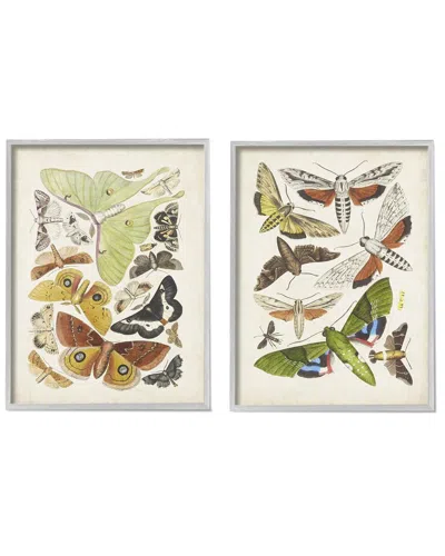 STUPELL VINTAGE MOTHS LATIN STUDIES BY WORLD ART GROUP WALL ART