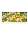 Stupell Wild Daisies Blooming Nature Garden Framed Giclee Wall Art By Pierre Viollet