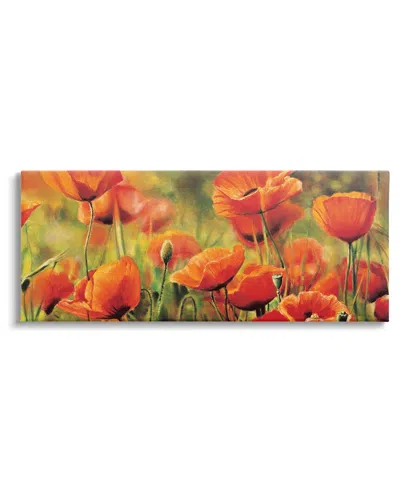 STUPELL WILD POPPY FLOWERS SPRING BLOOMS CANVAS WALL ART BY PIERRE VIOLLET