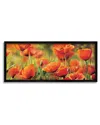 Stupell Wild Poppy Flowers Spring Blooms Framed Giclee Wall Art By Pierre Viollet