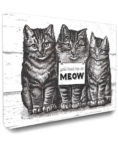 STUPELL STUPELL YOU HAD ME AT MEOW CATS