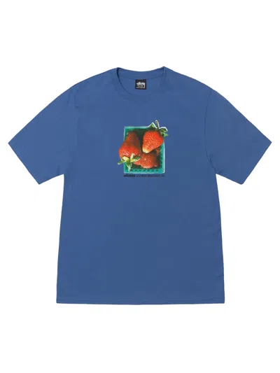 Stussy Berries Tee