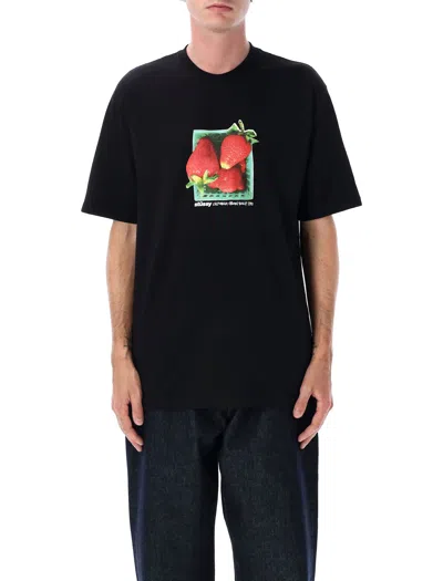 STUSSY BERRIES TEE
