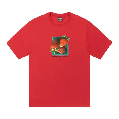 Pre-owned Stussy Berries Tee 'cayenne' | Red | Men's Size M