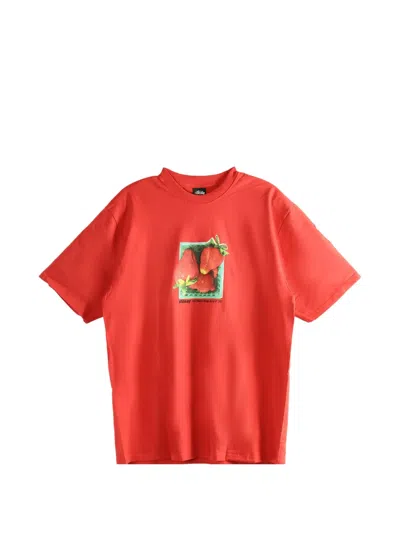 Stussy Graphic-print T-shirt In Orange
