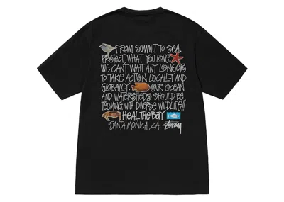 Pre-owned Stussy Heal The Bay Pigment Dyed Summit To Sea Tee Shirt In Black