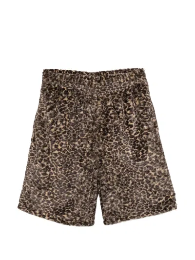 Stussy Leopard-print Shorts In Brown