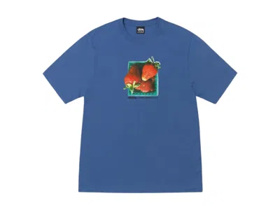 Pre-owned Stussy Men's  Berries Tee Shirt In Blue