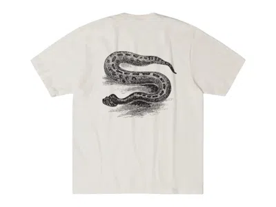 Pre-owned Stussy Serpent Pigment Dyed Tee Shirt In Natural In Brown