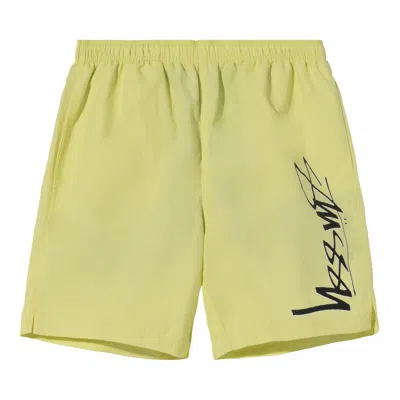Pre-owned Stussy Smooth Stock Water Short 'lime' In Green