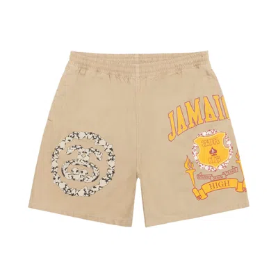 Pre-owned Stussy X Denim Tears Gym Short 'khaki' | Tan | Men's Size M In Brown