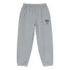 Stussy X Nike International Sweatpants 'grey' In Gray