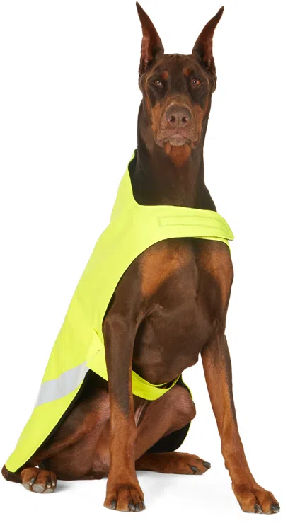 Stutterheim Yellow Safety Dog Raincoat In 7062 Sf Ylw