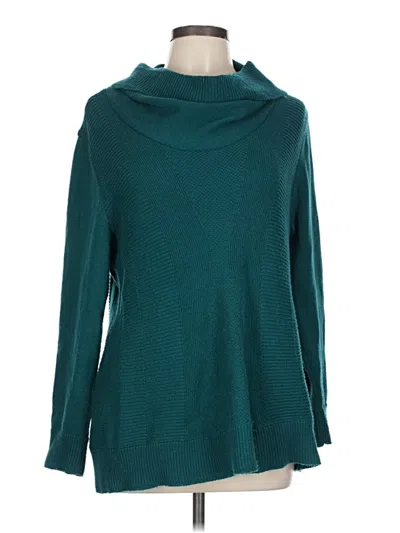 Pre-owned Style & Co Turtleneck Sweater In Blue