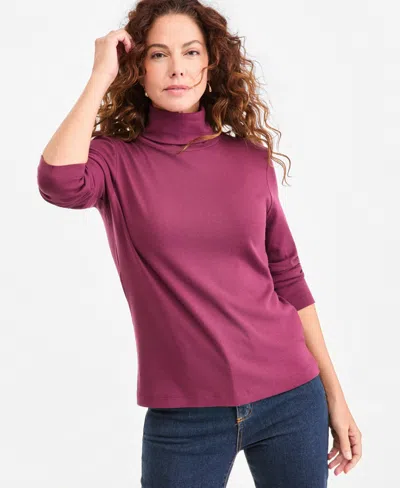 Style & Co Women's Long-sleeve Knit Turtleneck, Macy's Exclusive In Multi