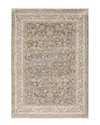 Stylehaven Mystique Distressed Traditional Border Fringed Area Rug In Beige