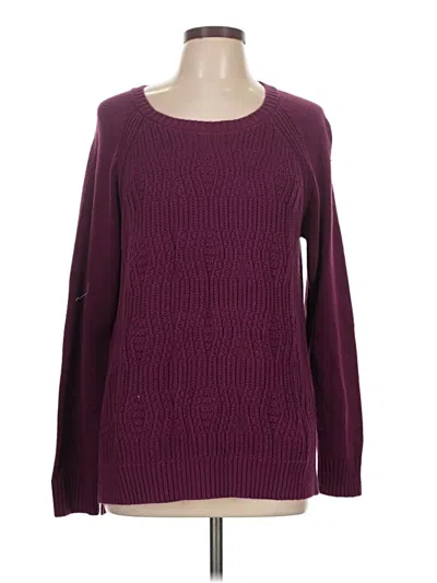 Pre-owned Stylus Pullover Sweater In Burgundy