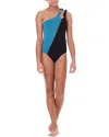 Submarine Aligned One-shoulder One-piece In Black