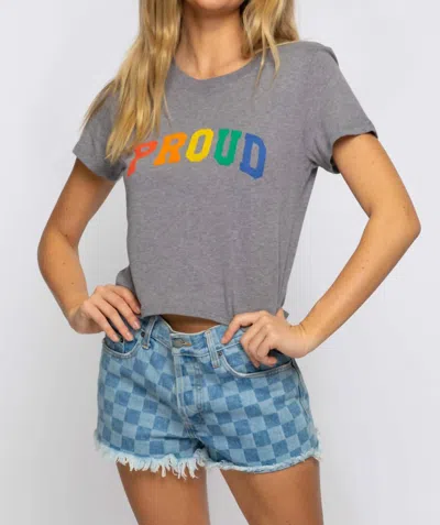 Suburban Riot Proud Crop Tee In Grey In Gray
