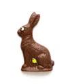Sugar Plum Chocolates Milk Chocolate Solid Easter Bunny, 8oz In No Color