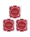 Sugarfina Holiday Raspberry Crunchies, 3 Piece In Transparent