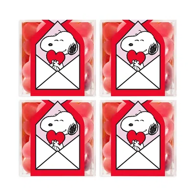 Sugarfina Snoopy Strawberry Hearts 4 Piece Kit