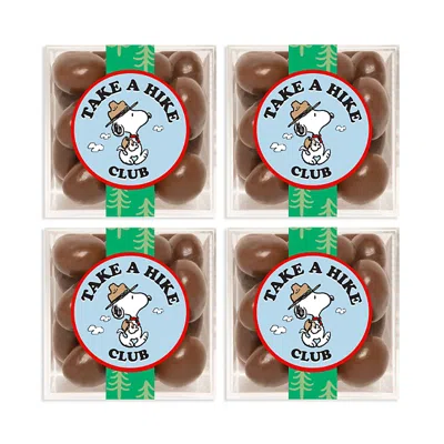 Sugarfina Snoopy Take A Hike Club Chocolate Biscuit Cubes, Set Of 4 In Brown