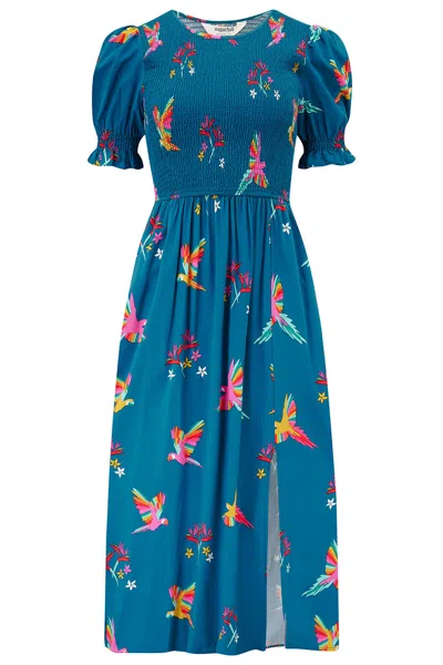 Sugarhill Brighton Women's Blue Rosita Shirred Midi Dress Teal, Rainbow Parrots