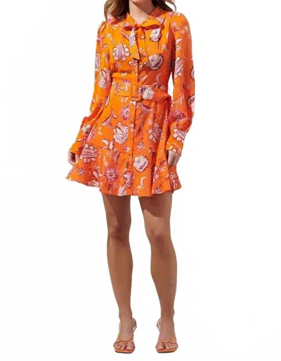 Sugarlips Cosmo Floral Flare Dress In Orange Multi