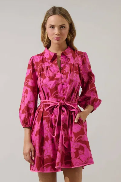 Sugarlips Craney Floral Raven Collared Mini Dress In Burgundy/pink
