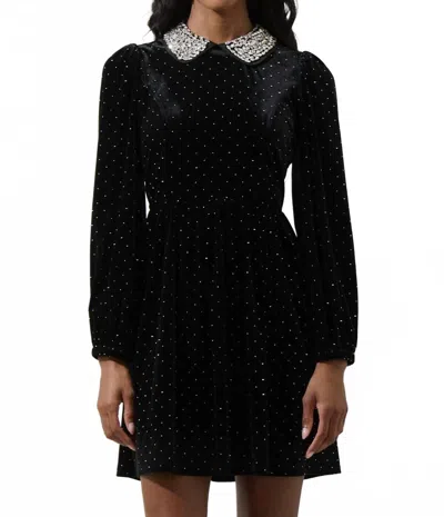 Sugarlips Esteller Velvet Polka Dot Mini Dress In Black