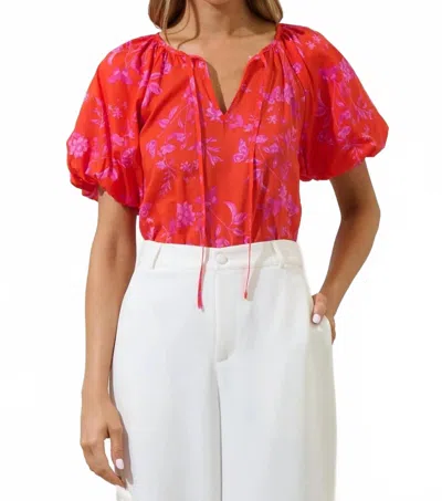 Sugarlips Fia Floral Overseas Balloon Sleeve Top In Red/ Pink