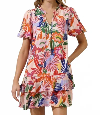 Sugarlips Lush Tropics Ruffle Dress In Blue Pink Cream