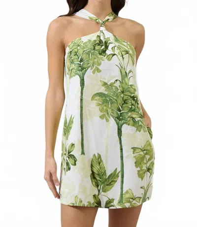 Sugarlips Palms Tropical Halter Mini Dress In Cream/ Green In Multi