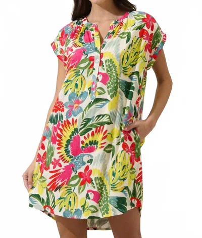 Sugarlips Paradiso Shift Mini Dress In Multi